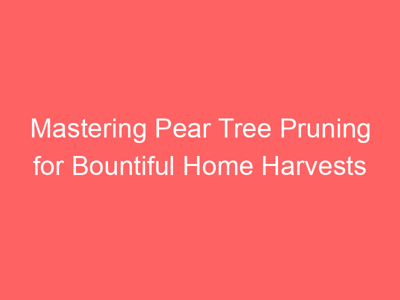 Mastering Pear Tree Pruning for Bountiful Home Harvests