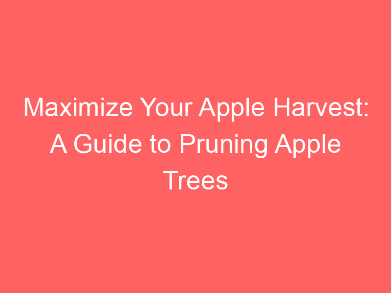 Maximize Your Apple Harvest: A Guide to Pruning Apple Trees